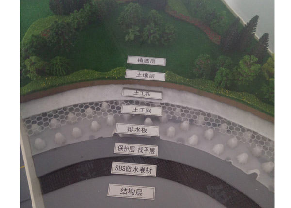 车库顶板草莓视频污免费下载